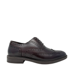 Brogue shoes Lucius para hombre color café